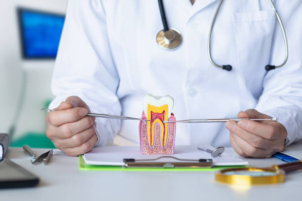 Best Emergency Root Canal Treatment in Greens Farms, CT